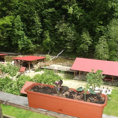 Lazar Guest house *
