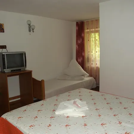 Guest house Lazar Voineasa